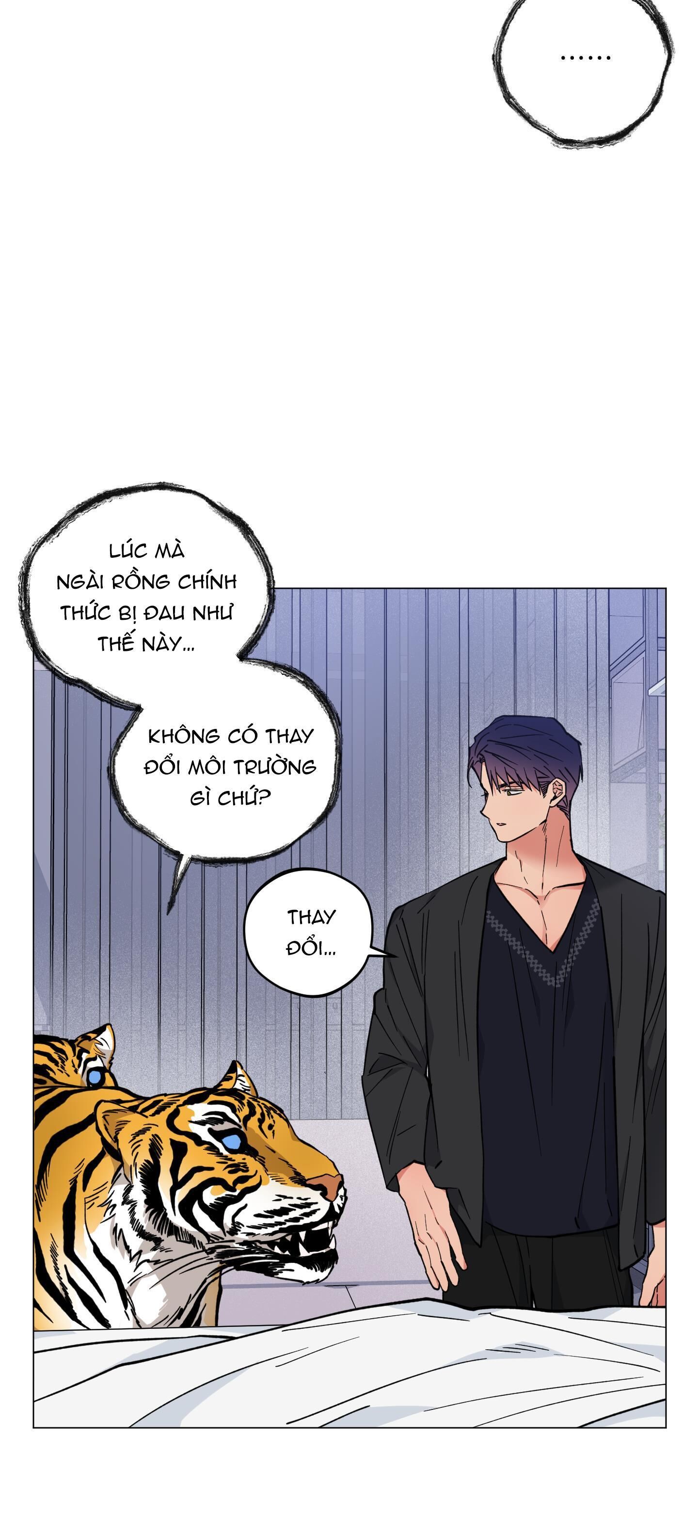 bình minh của rồng Chapter 24 - Trang 1