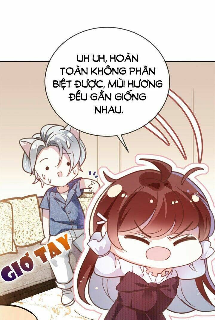 Em Là Bạc Hà Mèo Của Tôi Chapter 11 - Trang 2