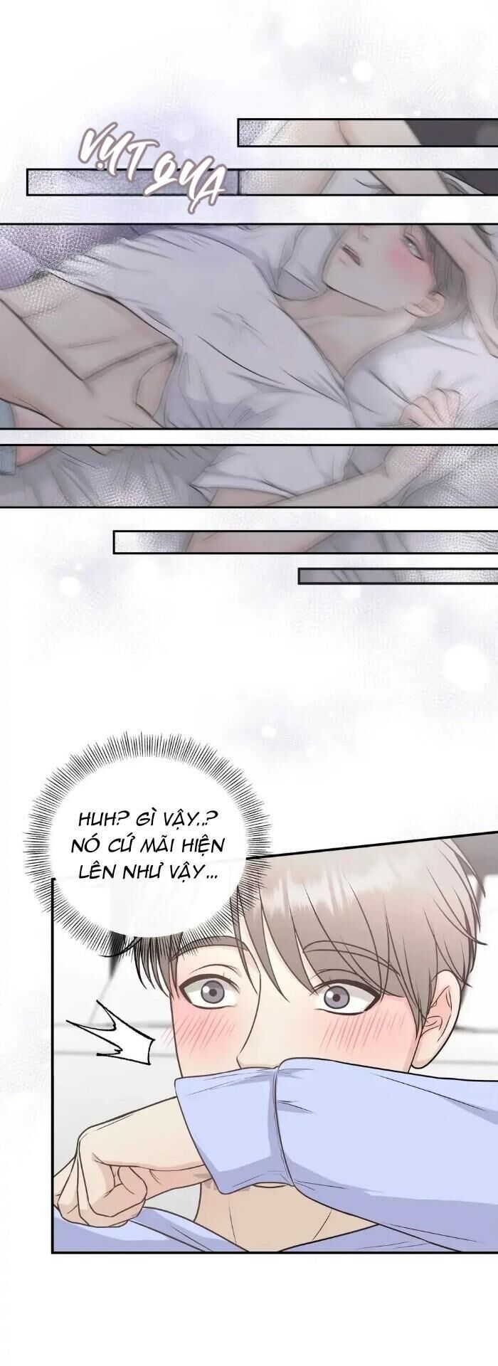 hạnh phúc trọn vẹn Chapter 7 - Next 8