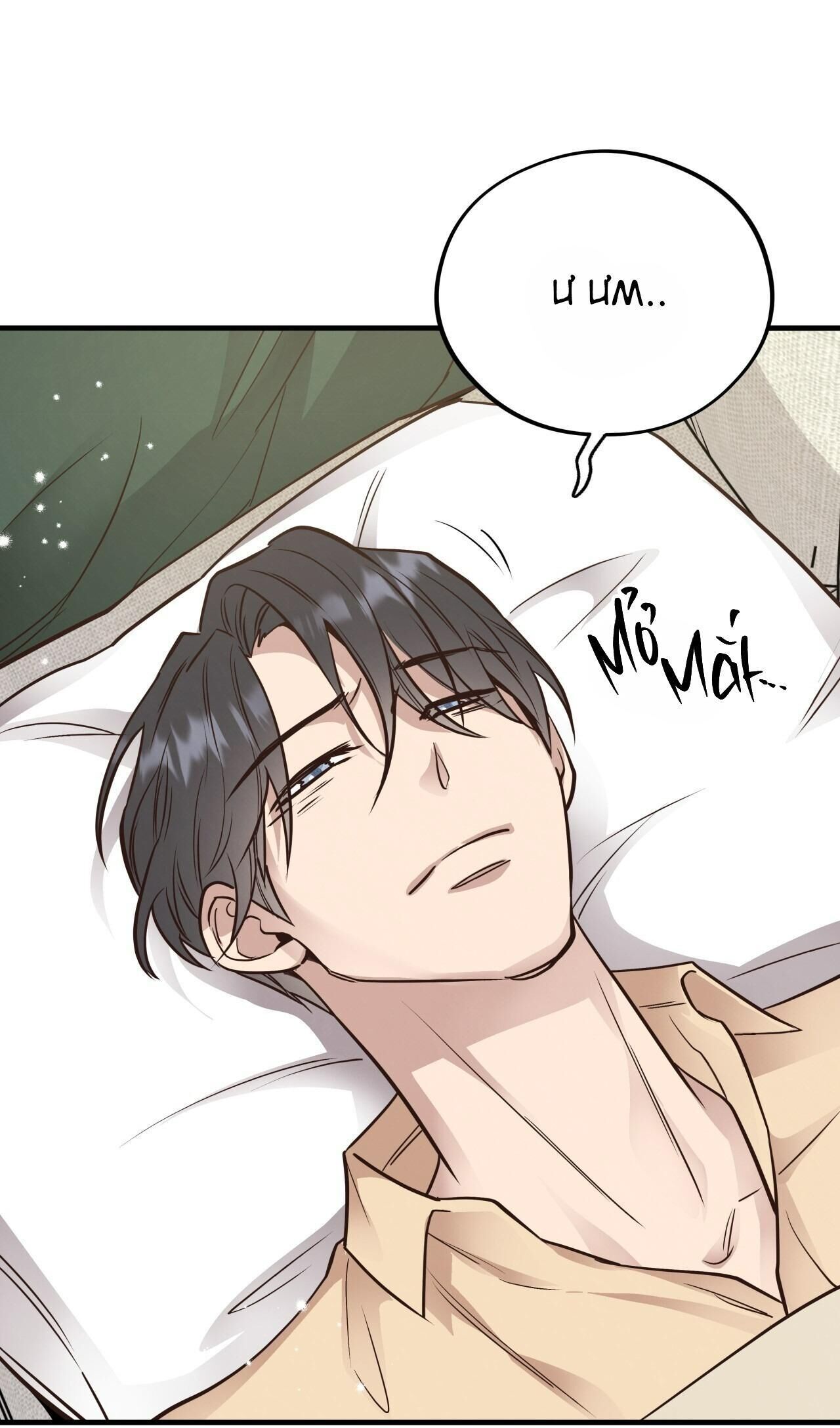 mật gấu Chapter 47 - Trang 2