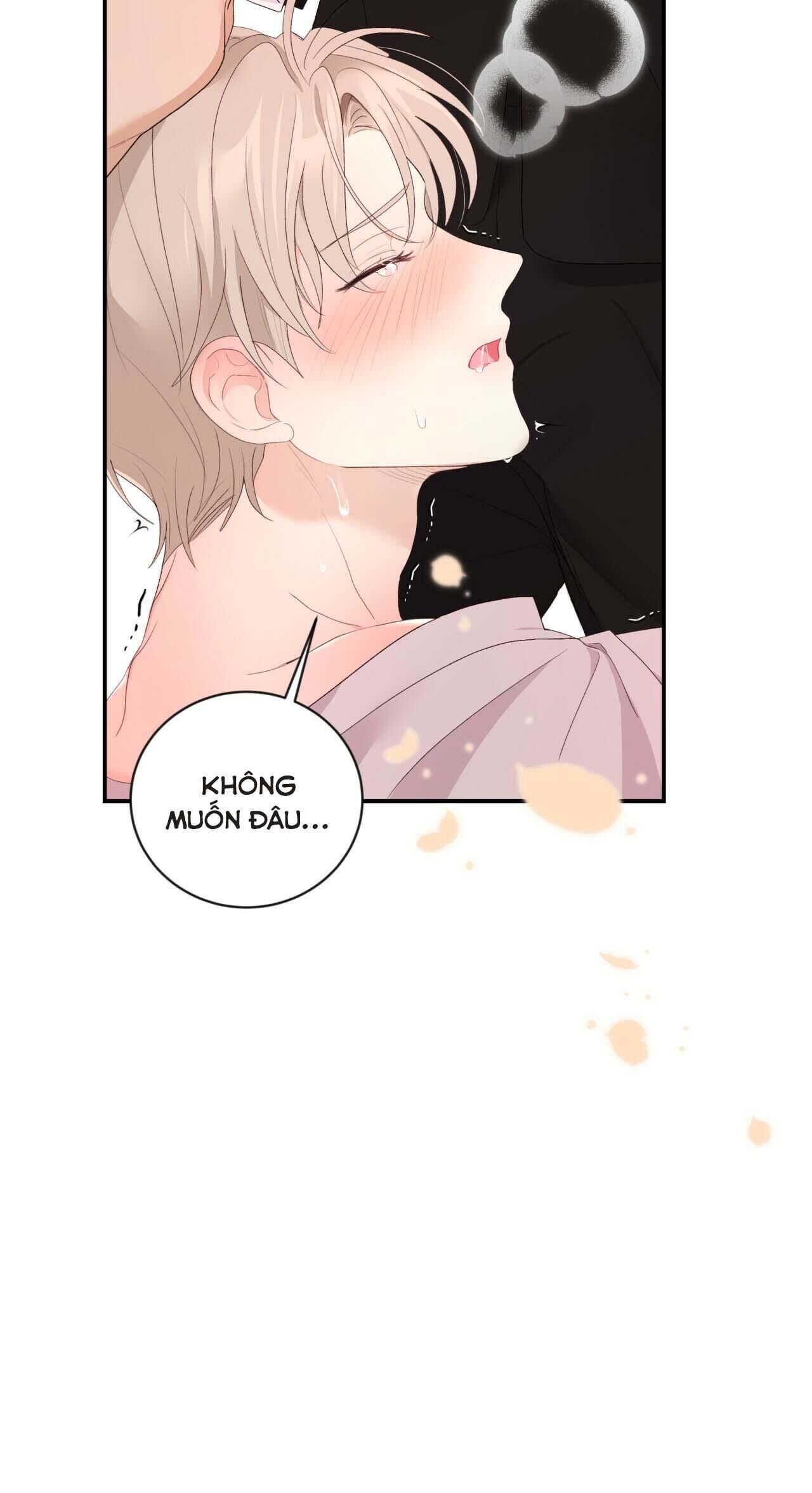 vị ngọt không đường (sweet not sugar) Chapter 14 - Trang 2