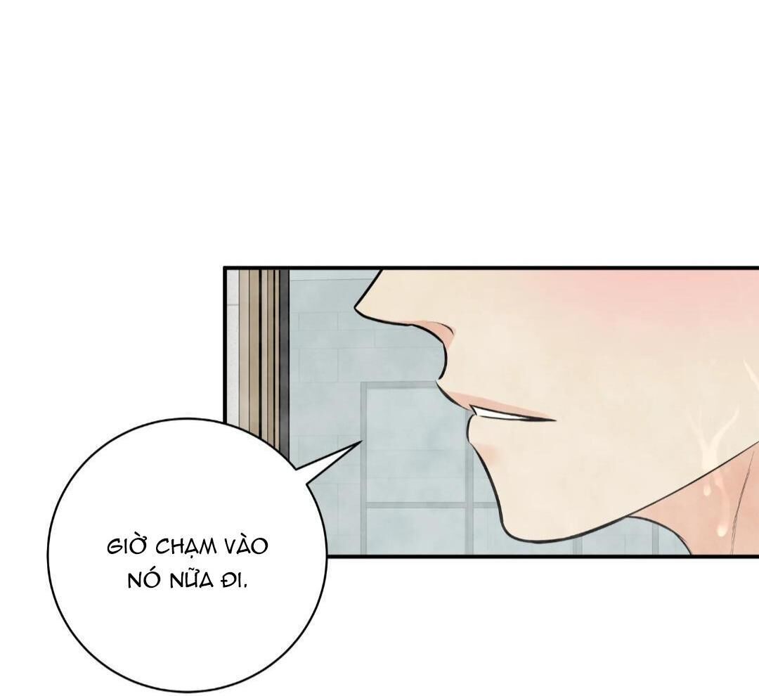 hạnh phúc trọn vẹn Chapter 24 - Next 25