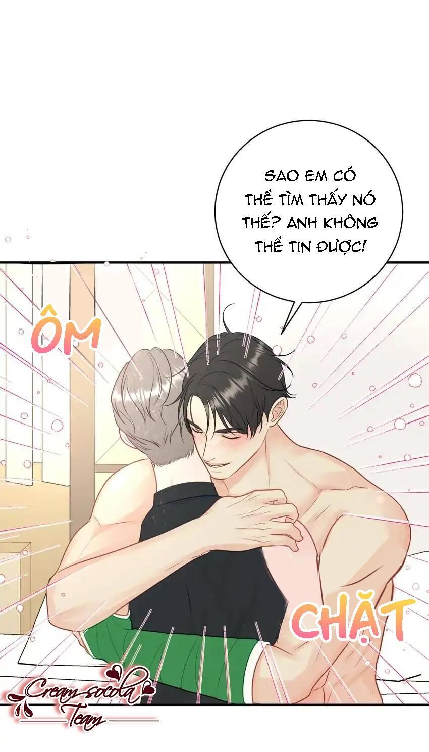 hạnh phúc trọn vẹn Chapter 40 - Next 41