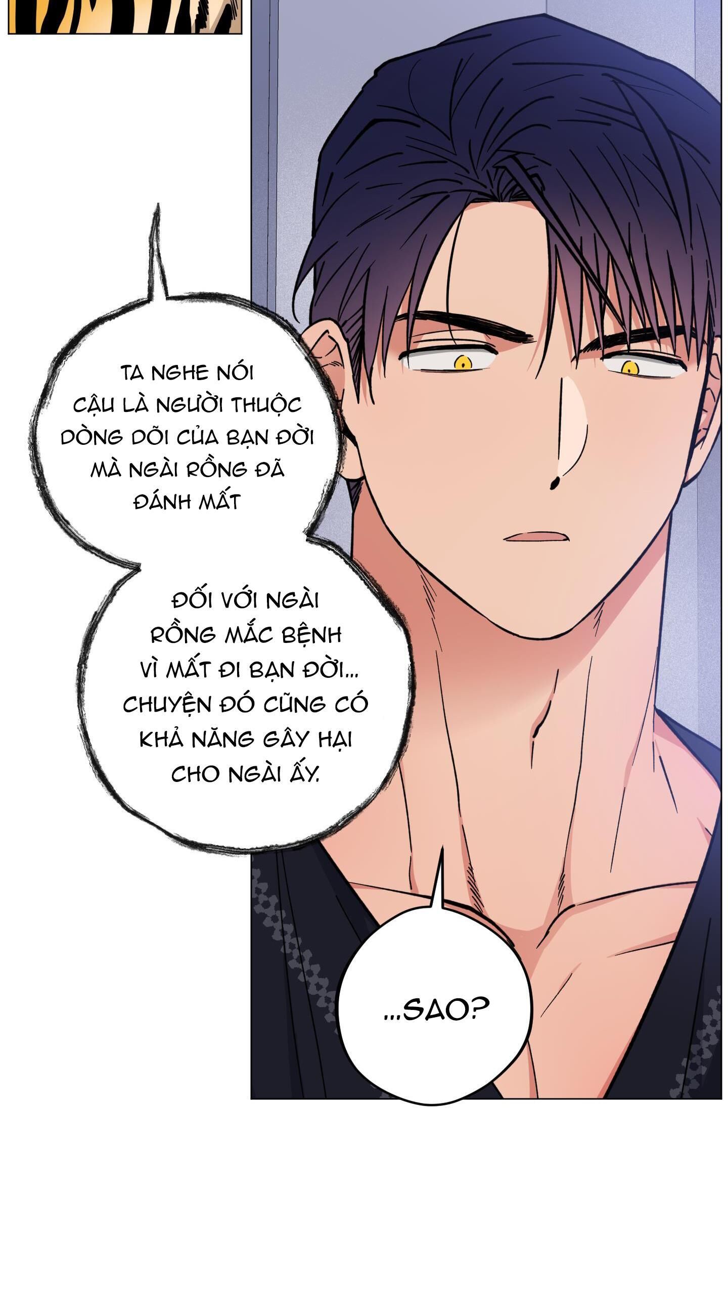 bình minh của rồng Chapter 25 - Trang 1