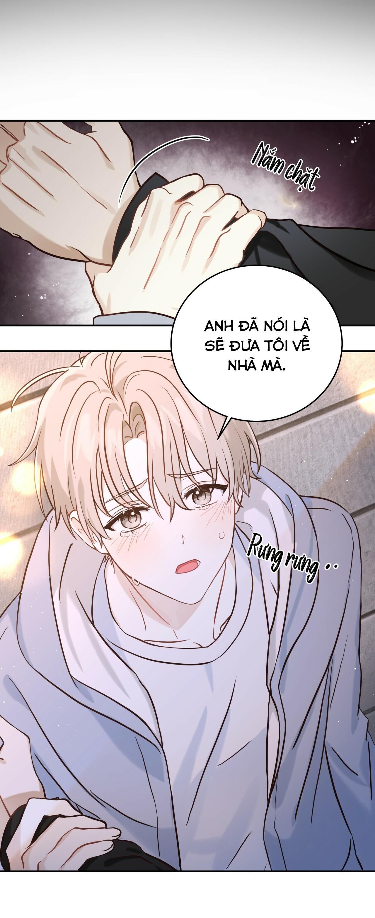 vị ngọt không đường (sweet not sugar) Chapter 1 - Next 2