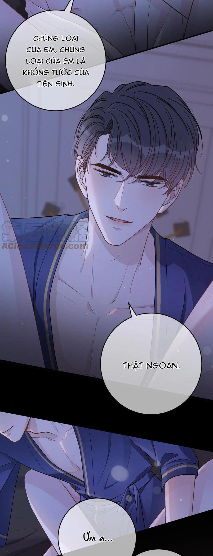 Trước Và Sau Ly Hôn! Chapter 52 - Next Chapter 53