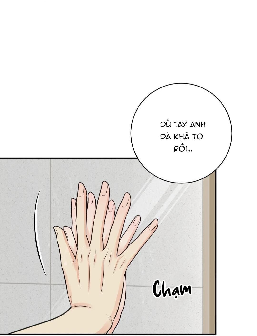 hạnh phúc trọn vẹn Chapter 24 - Next 25