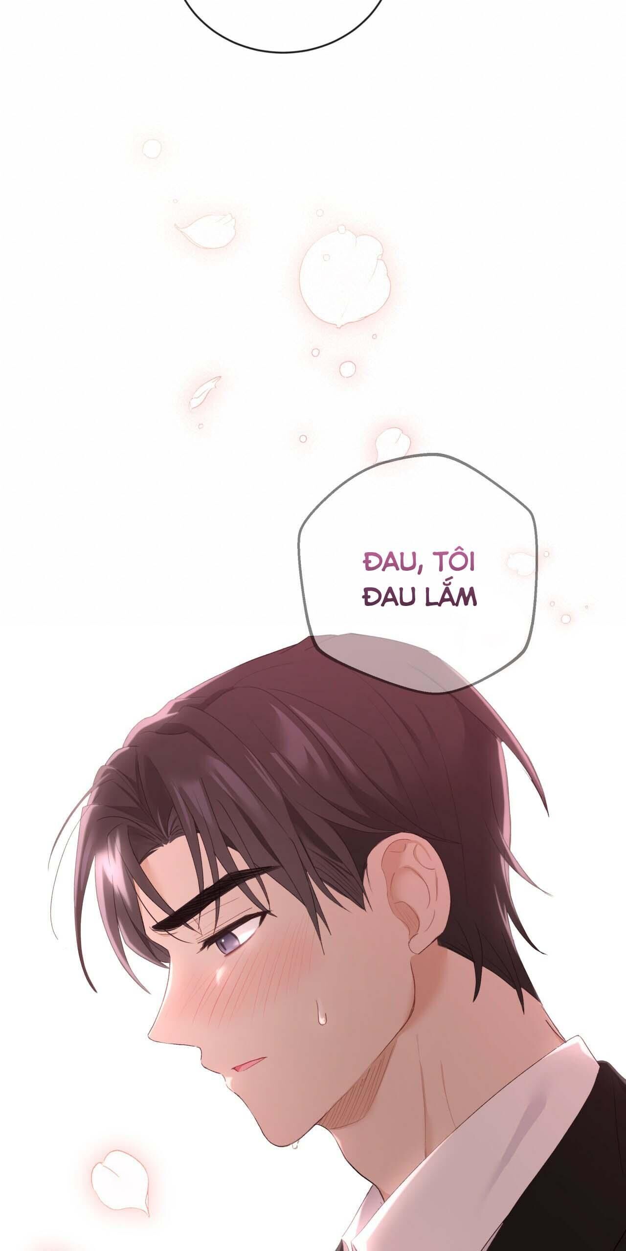 vị ngọt không đường (sweet not sugar) Chapter 14 - Trang 2