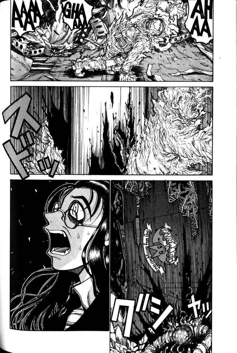 Hellsing Chapter 31 - Next Chapter 32