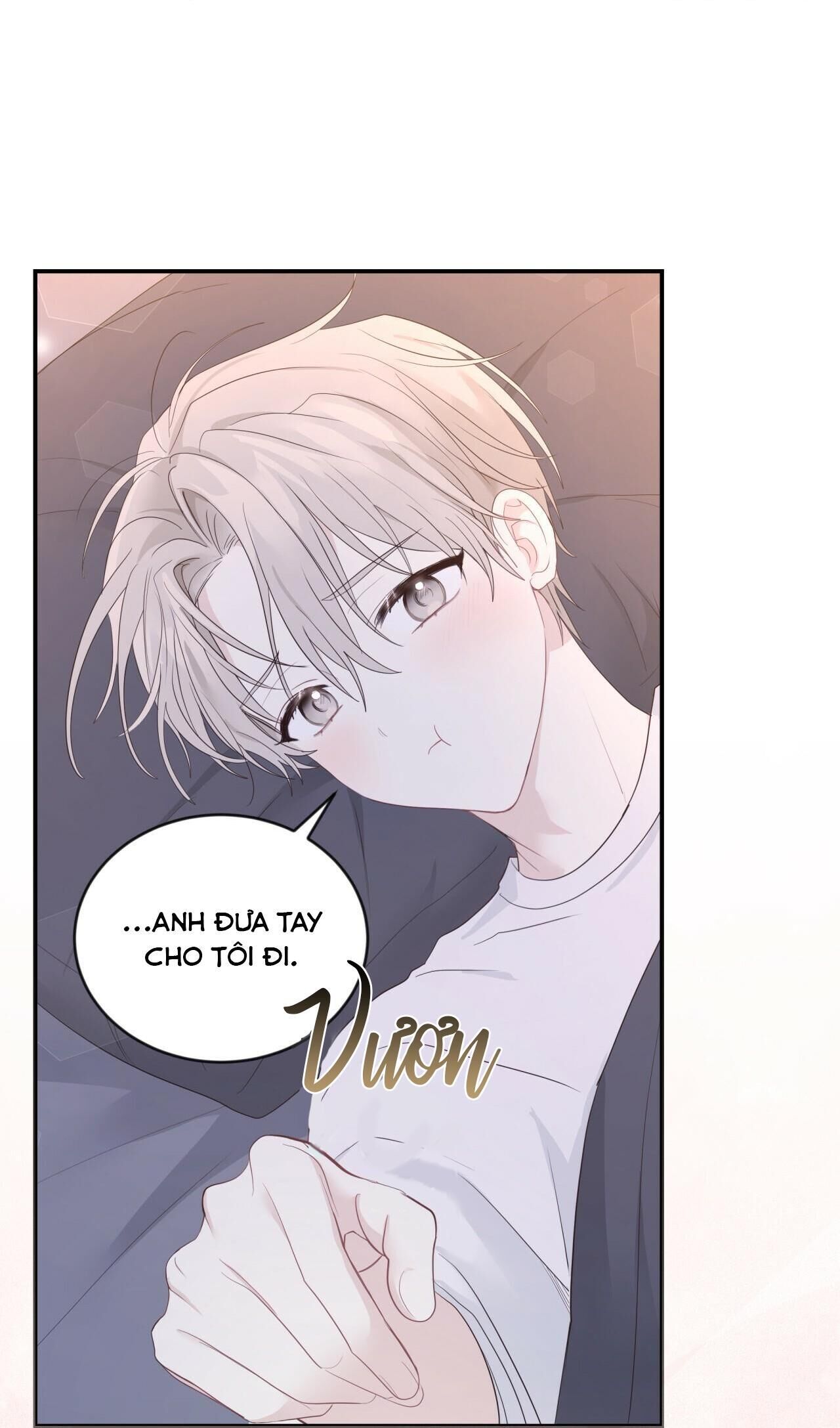 vị ngọt không đường (sweet not sugar) Chapter 11 - Trang 2