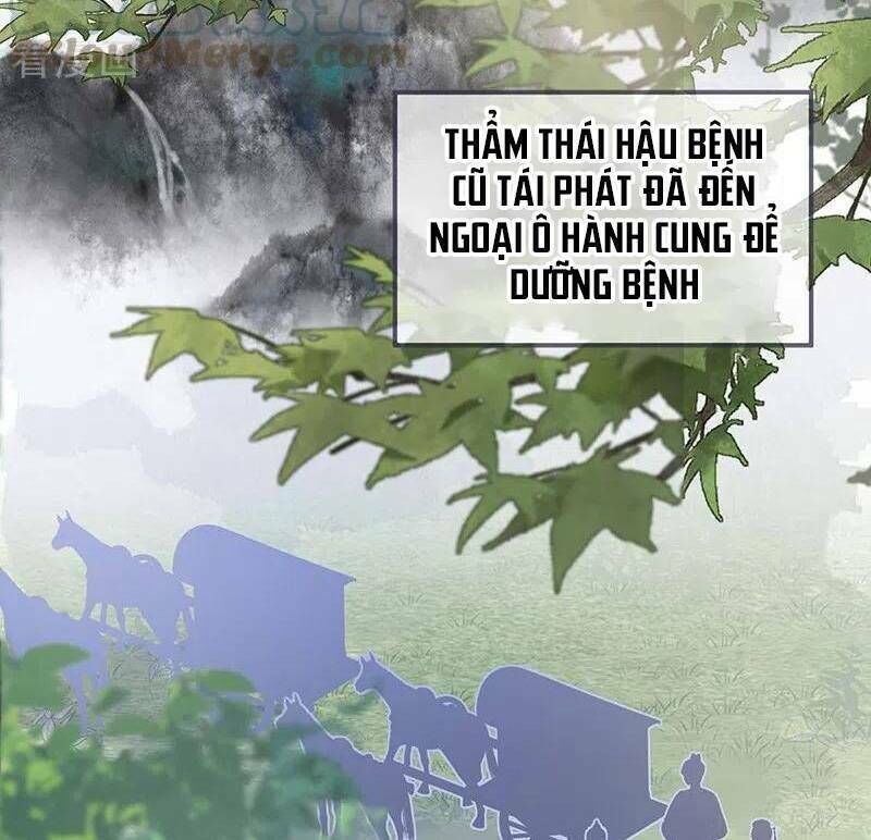 thái hậu quân hạ thần chapter 173 - Trang 2