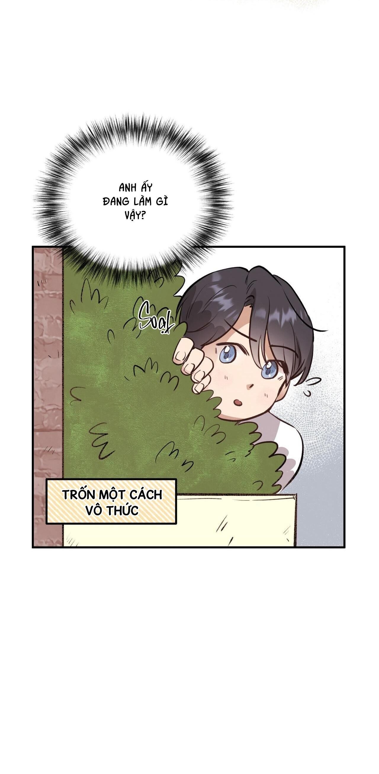 honey bear Chapter 16 - Trang 1