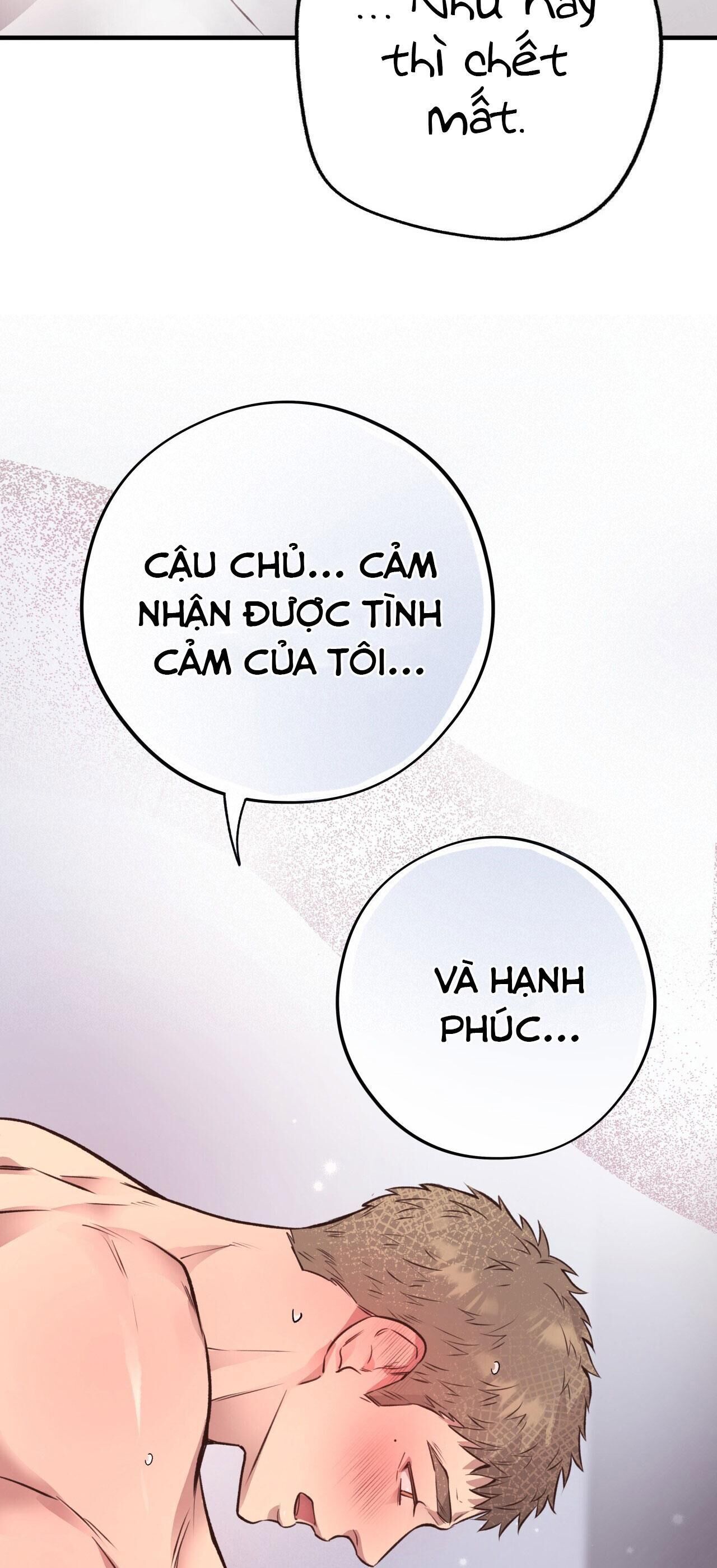 mật gấu Chapter 28 - Next Chương 29