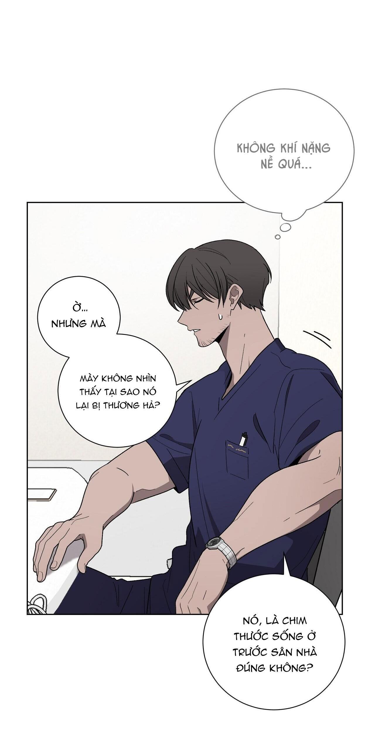 khi chim thước đến Chapter 13 - Trang 2