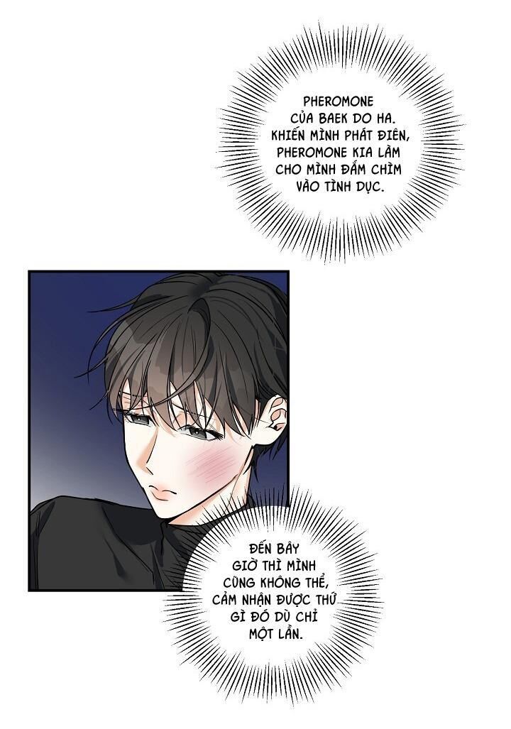 ĐÊM SĂN Chapter 14 Có Hờ - Next Chapter 15 H ++