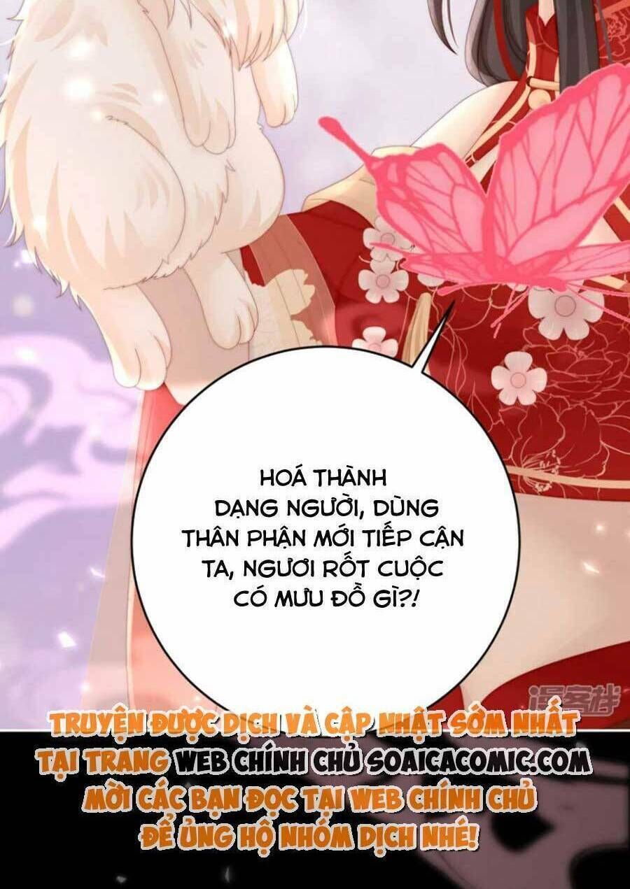 thê chủ, thỉnh hưởng dụng Chapter 79 - Trang 2