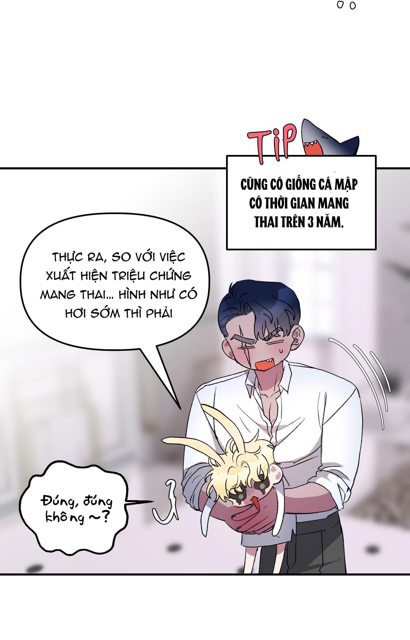 cá mập và cô dâu thỏ Chapter 27 - Trang 1