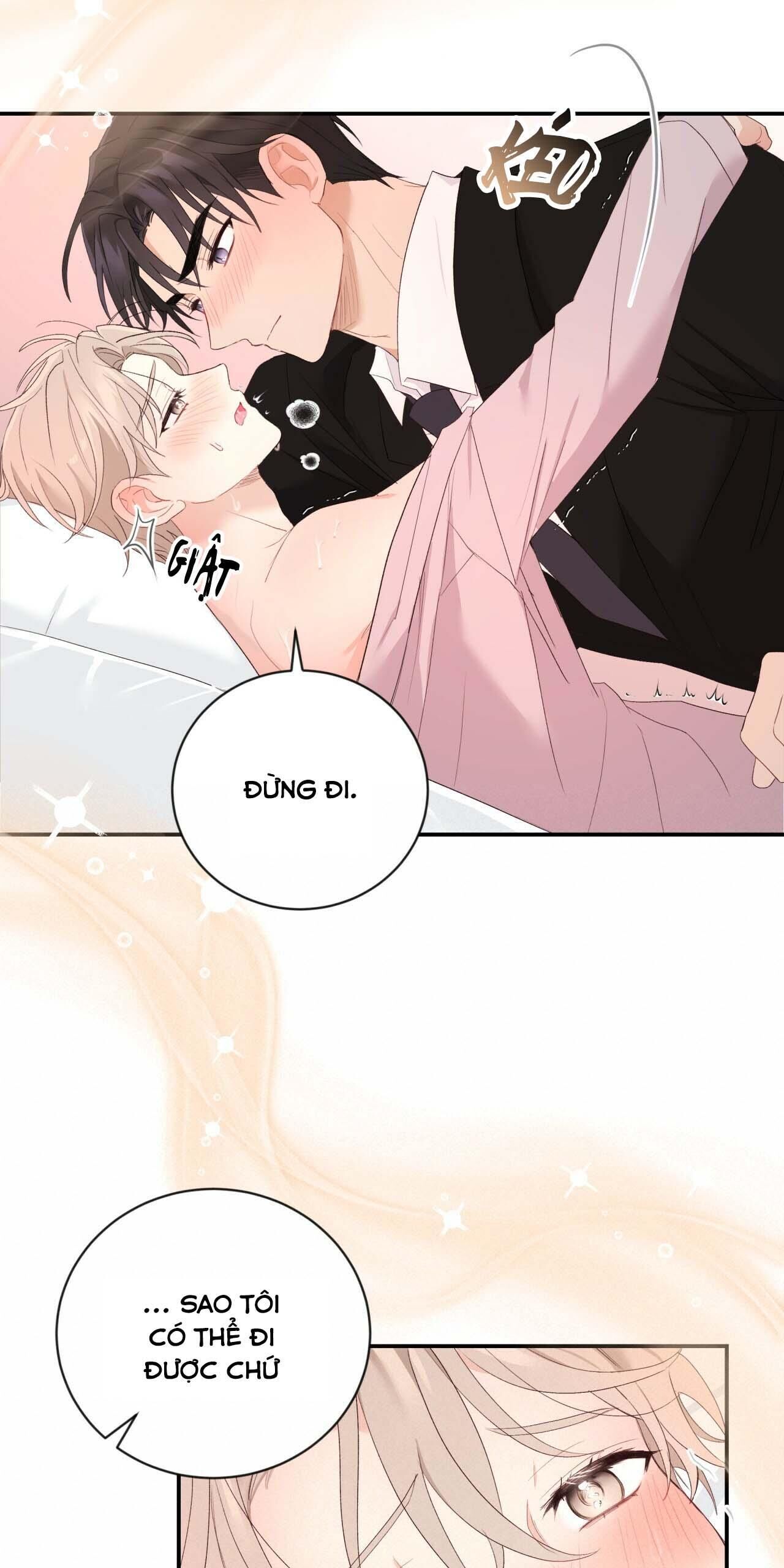 vị ngọt không đường (sweet not sugar) Chapter 14 - Trang 2