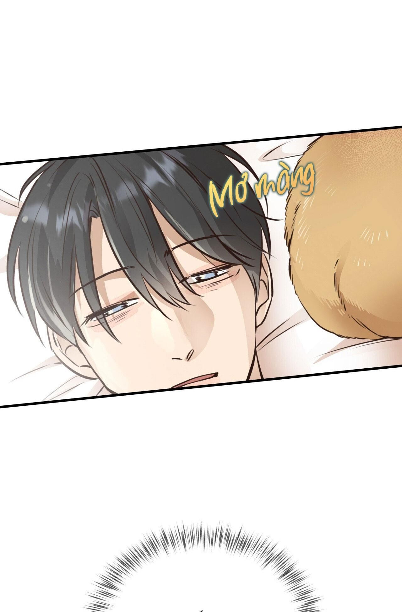 mật gấu Chapter 29 - Next Chương 30