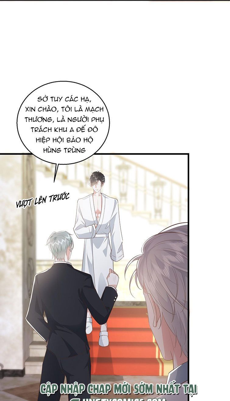 Xuyên Nhanh Chi Cải Tạo Bắt Đầu Lại Làm Người Chapter 32 - Next Chapter 33