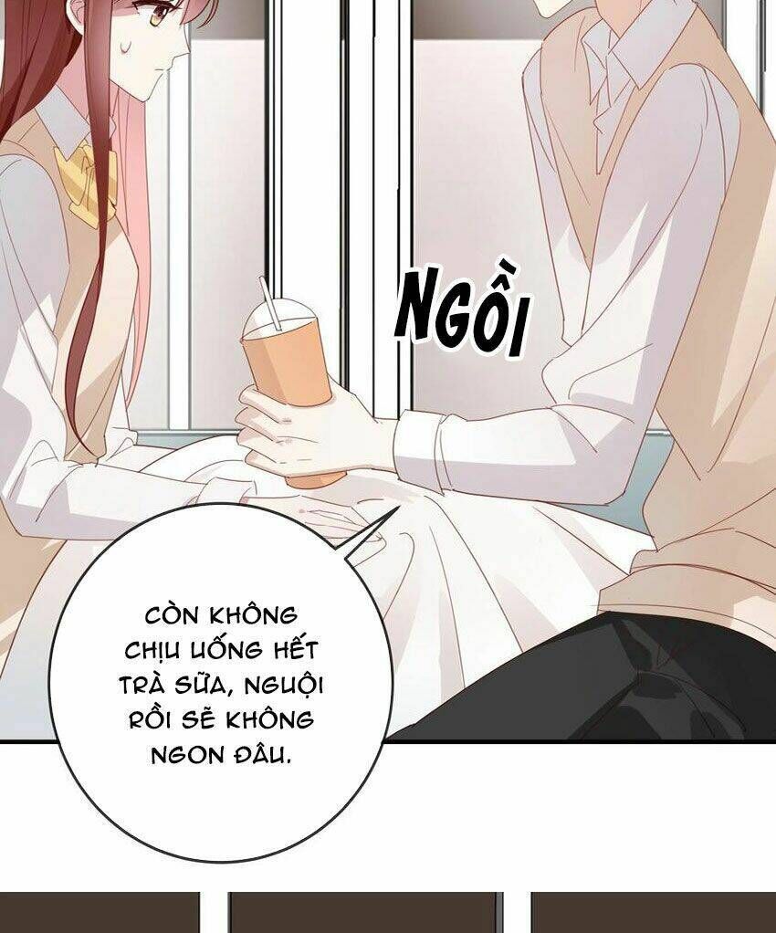 Em Là Bạc Hà Mèo Của Tôi Chapter 49 - Trang 2