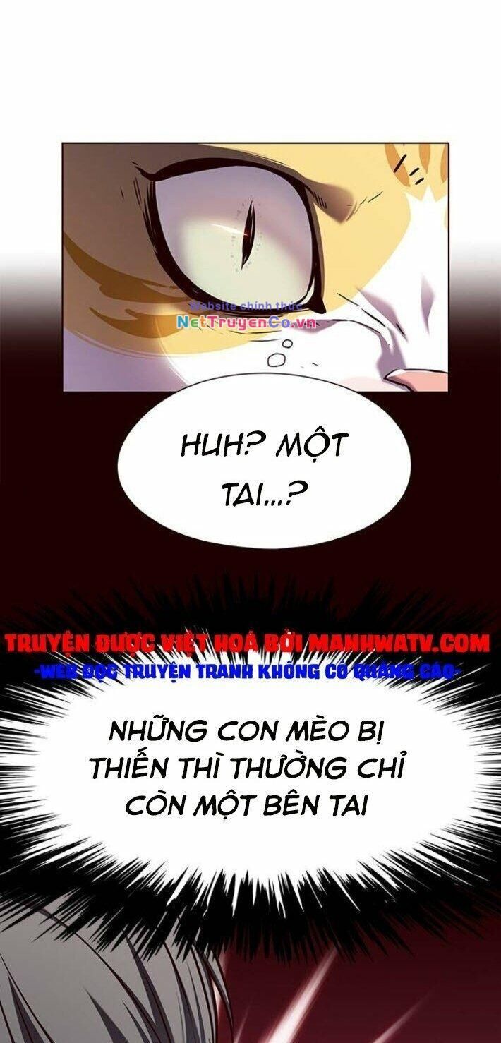 hoá thân thành mèo chapter 141 - Trang 2