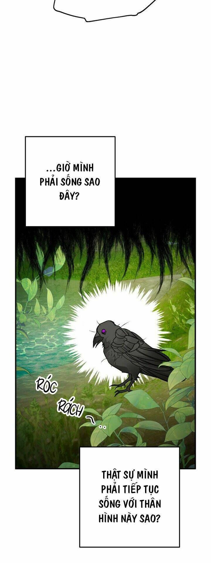 bỗng nhiên tôi trở thành quạ đen!! chapter 1 - Next chapter 2