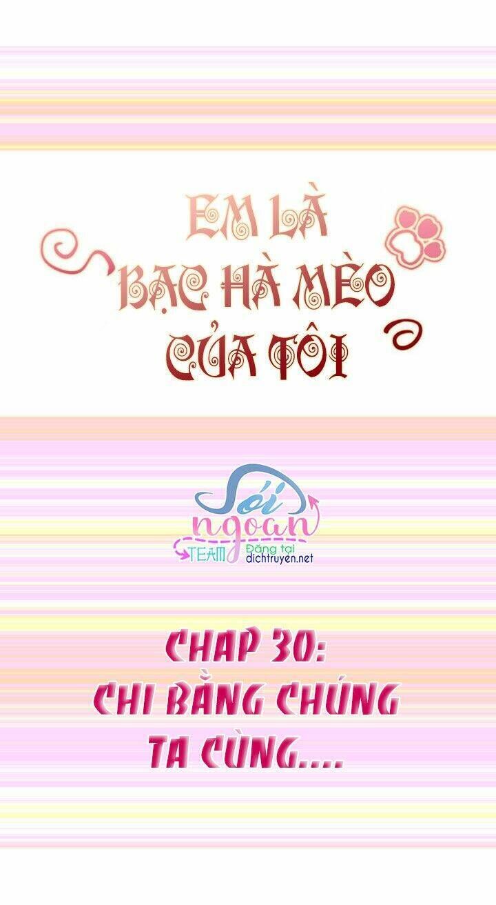 Em Là Bạc Hà Mèo Của Tôi Chapter 30 - Trang 2