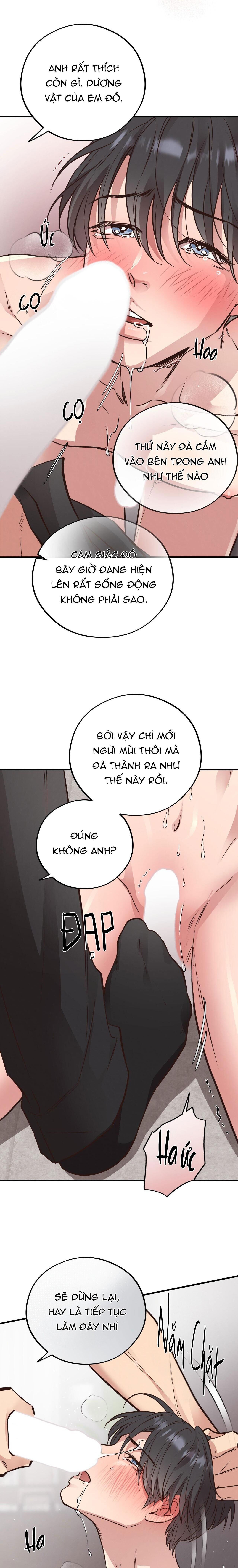 honey bear Chapter 41 - Trang 1