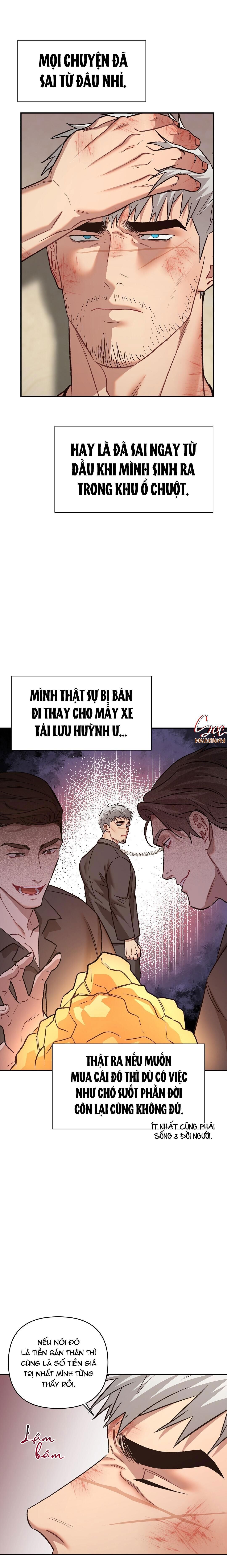 BIỂN ĐỎ Chapter 8 H - Trang 1