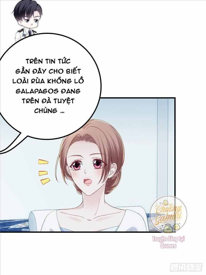 bảo bối của lão đại đã xuyên không trở về! chapter 26 - Next chapter 27