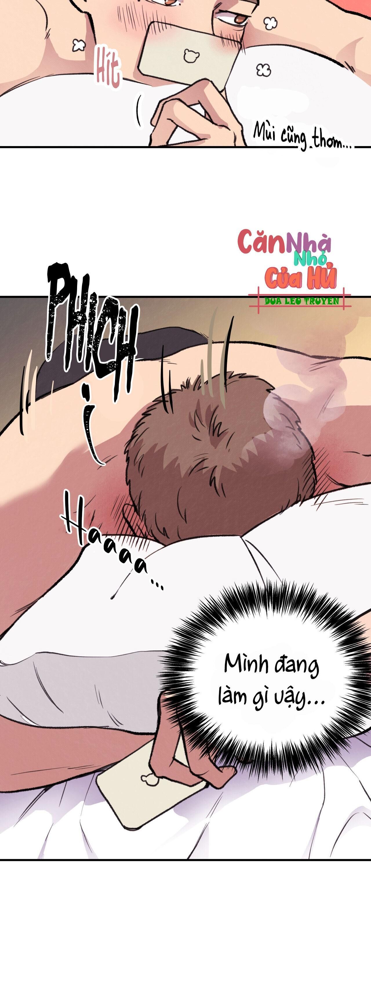 mật gấu Chapter 1 - Next Chương 2