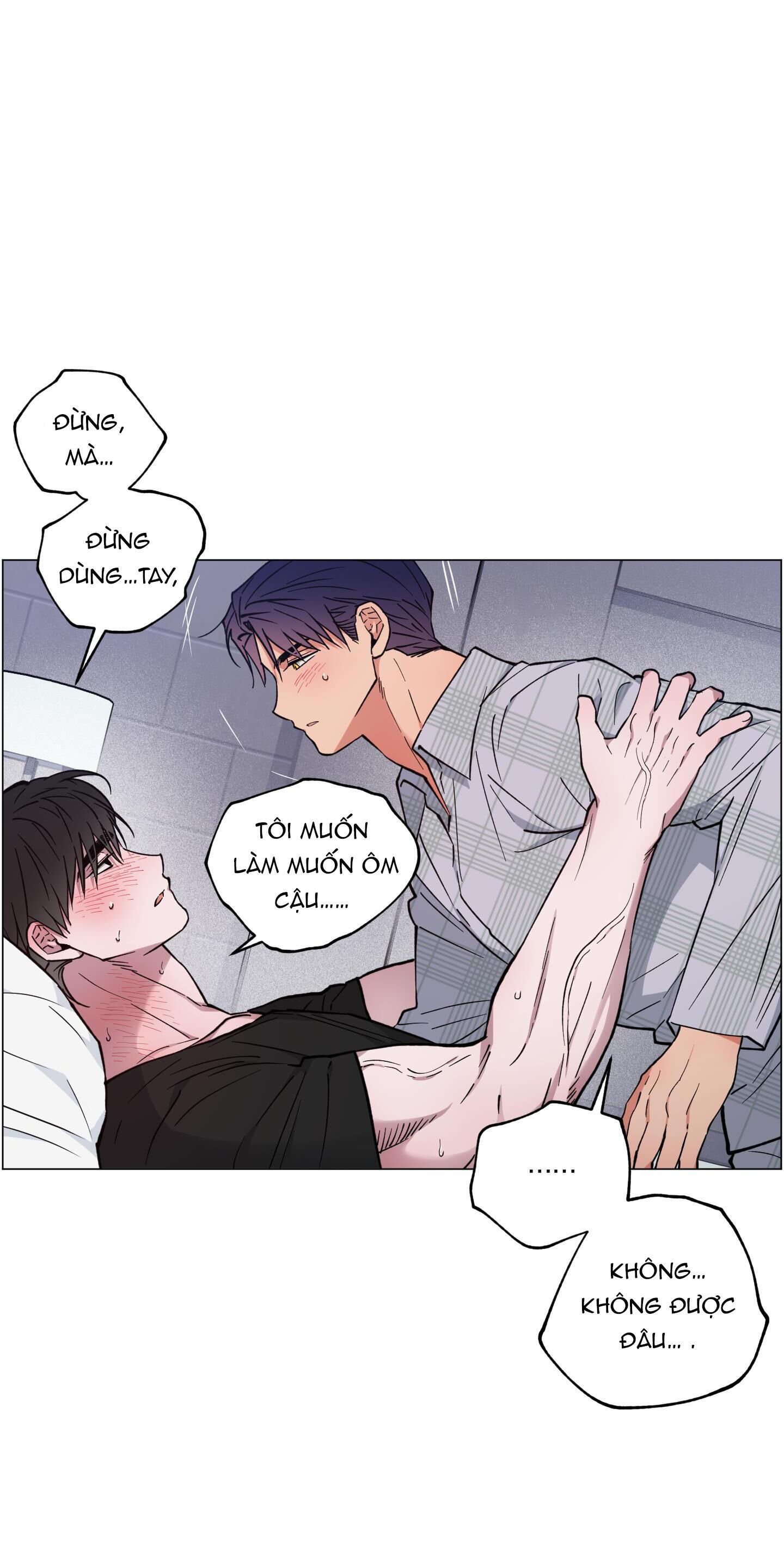 bình minh của rồng Chapter 24 - Trang 1