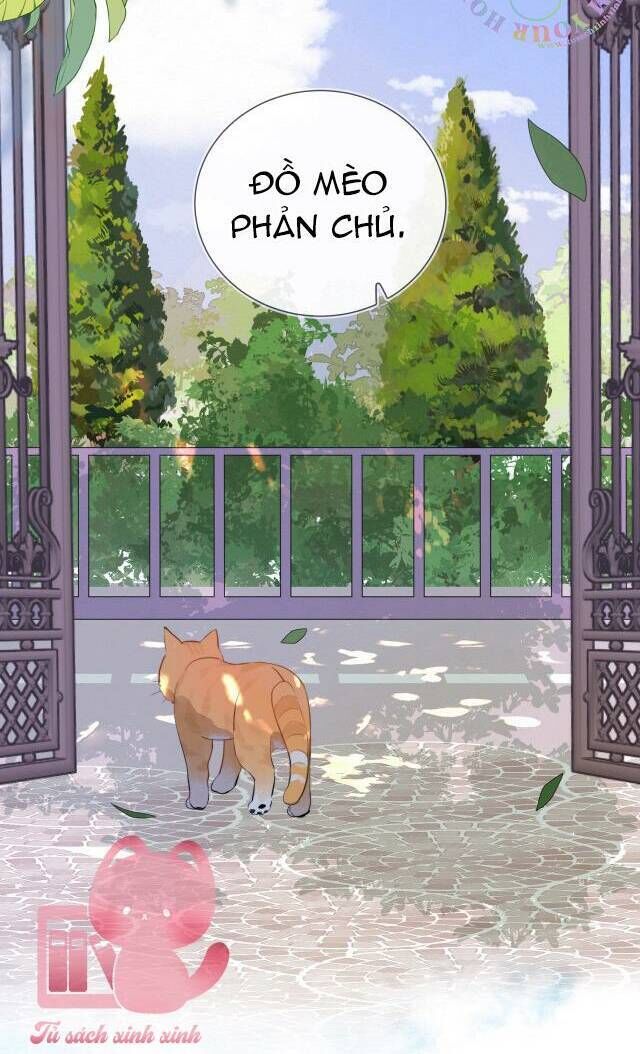 tỏ tình chapter 10 - Trang 2