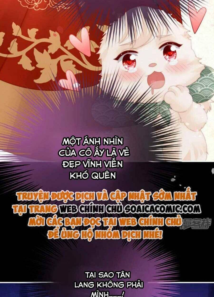 thê chủ, thỉnh hưởng dụng chapter 72 - Trang 2