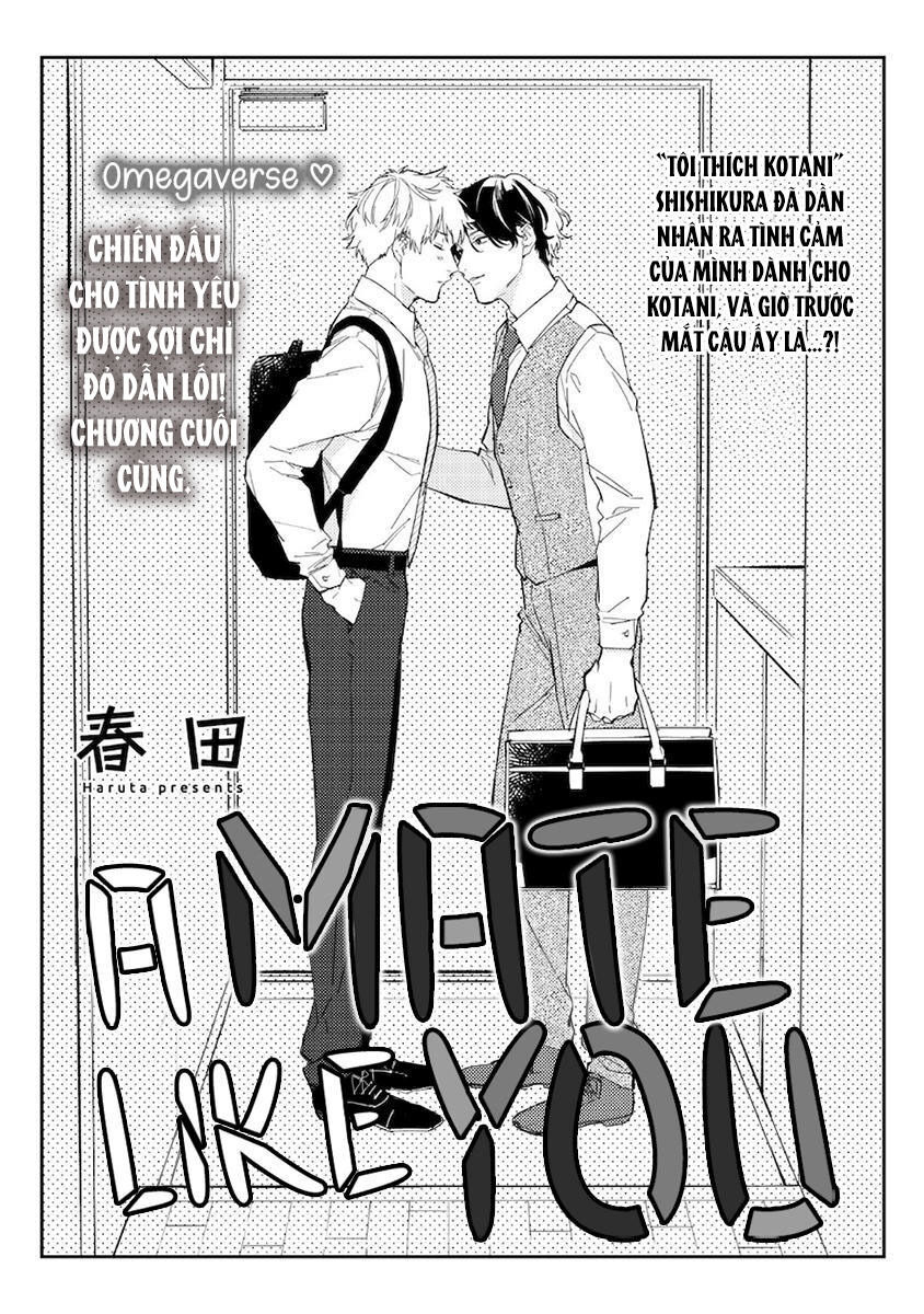 Không Thể Tin Nổi Anh Là Định Mệnh Của Tôi Chapter 8 - Next Chapter 8.5 - END