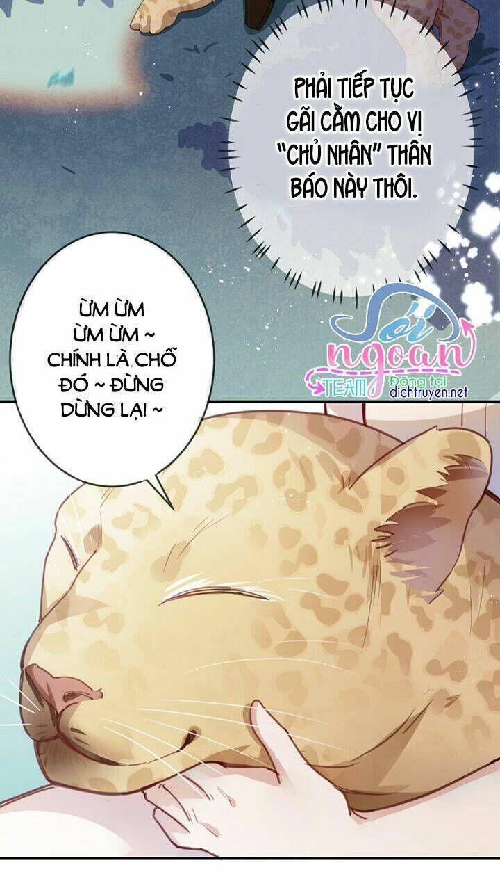 Em Là Bạc Hà Mèo Của Tôi Chapter 15 - Trang 2