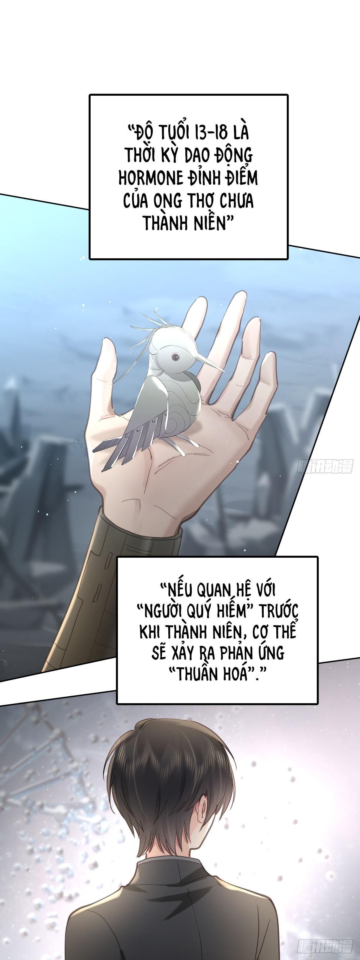 Ong Thợ Chapter 44 - Next Chapter 45