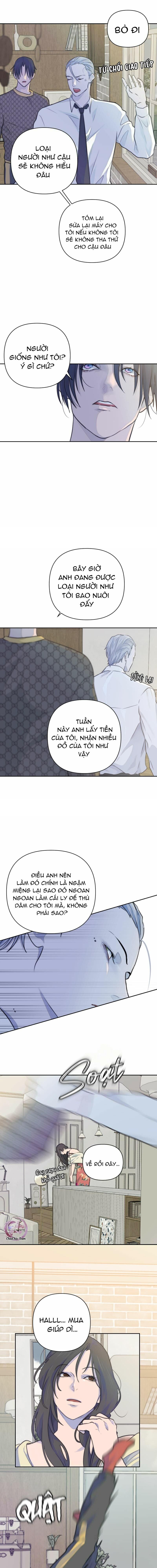 bao nuôi tiền bối Chapter 26 - Trang 1