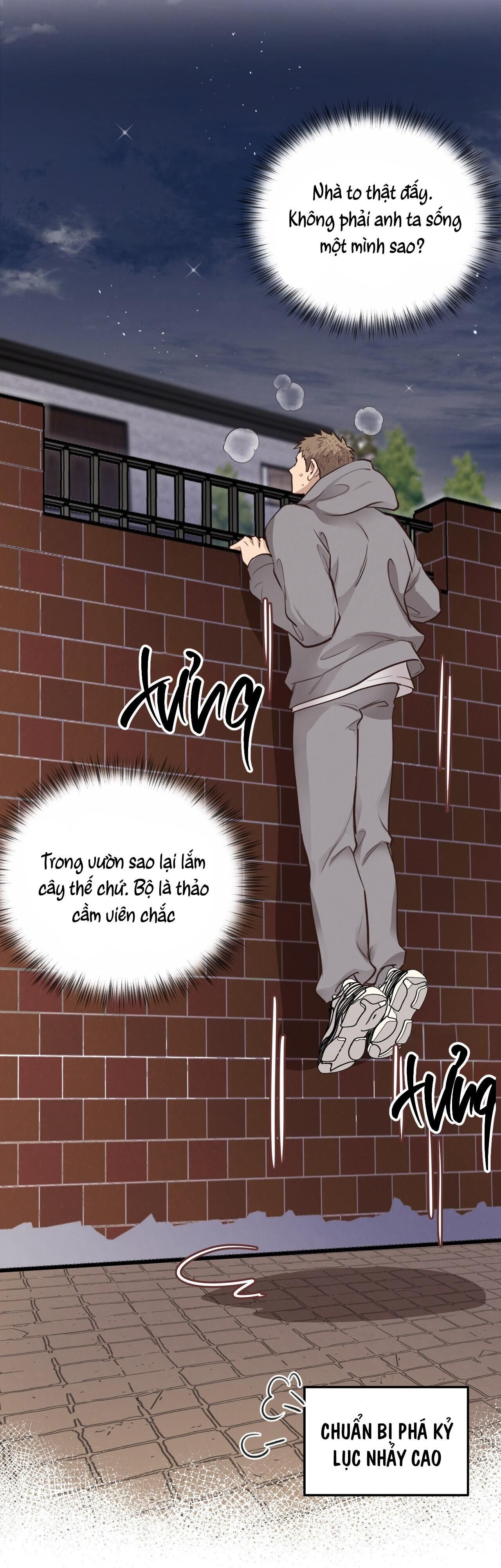 mật gấu Chapter 37 - Next Chương 38