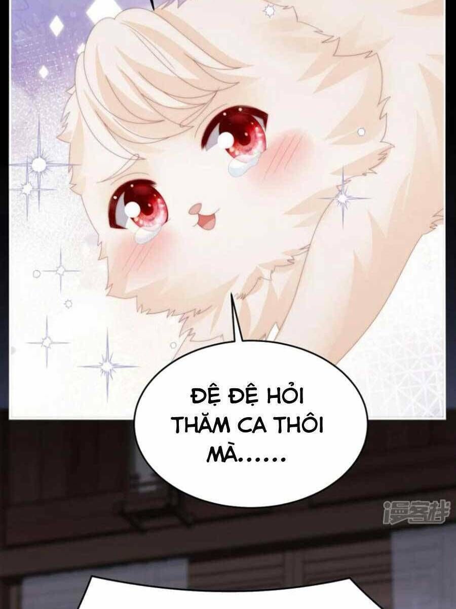 thê chủ, thỉnh hưởng dụng Chapter 76 - Trang 2