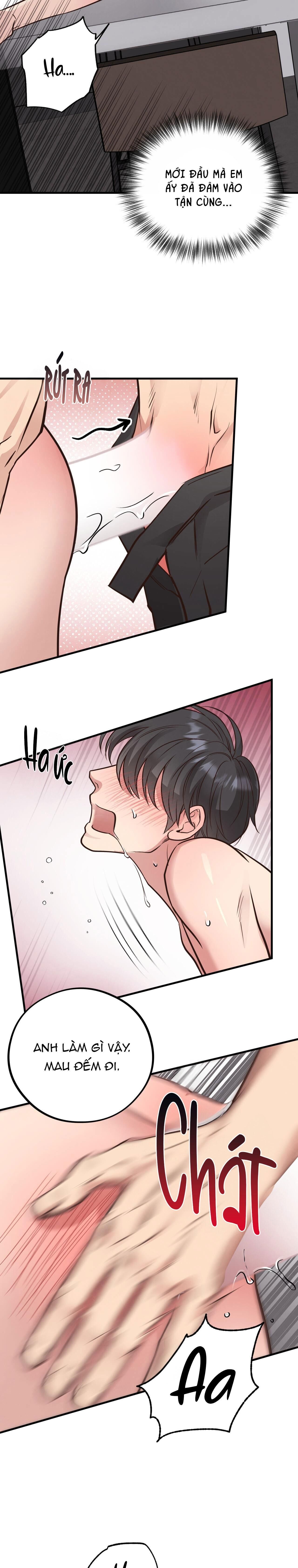 honey bear Chapter 41 - Trang 1