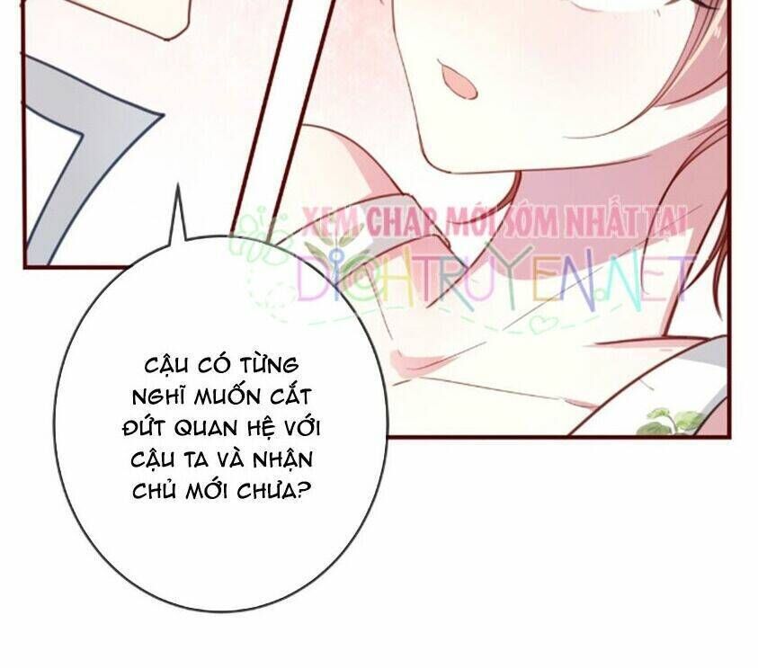 Em Là Bạc Hà Mèo Của Tôi Chapter 36 - Trang 2