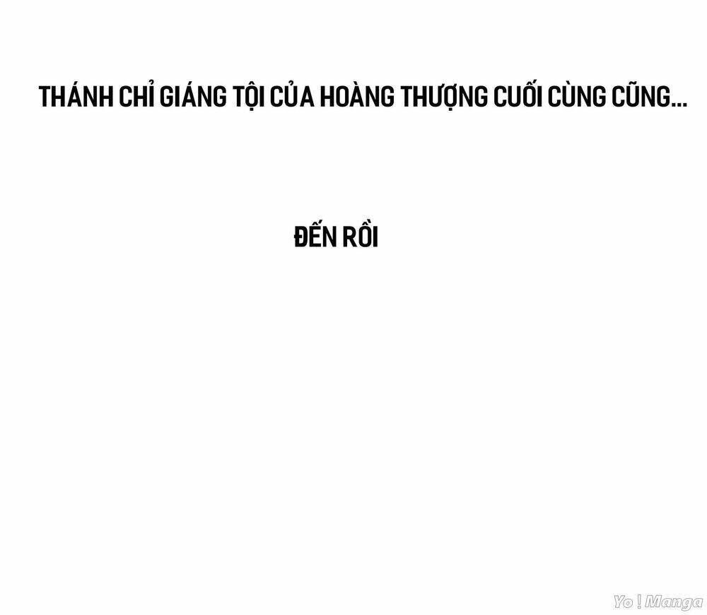 Loạn Thế Hoạ Phi Chapter 8 - Trang 2