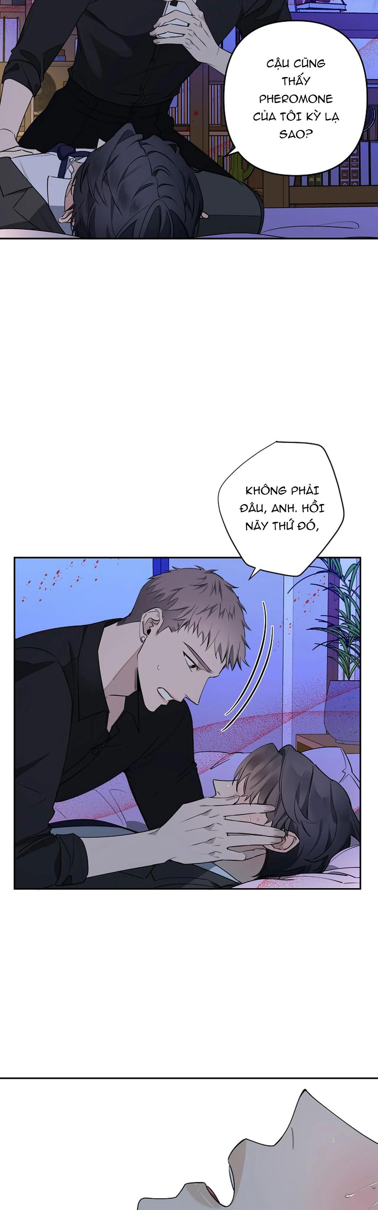 đêm dịu dàng Chapter 38 - Trang 1