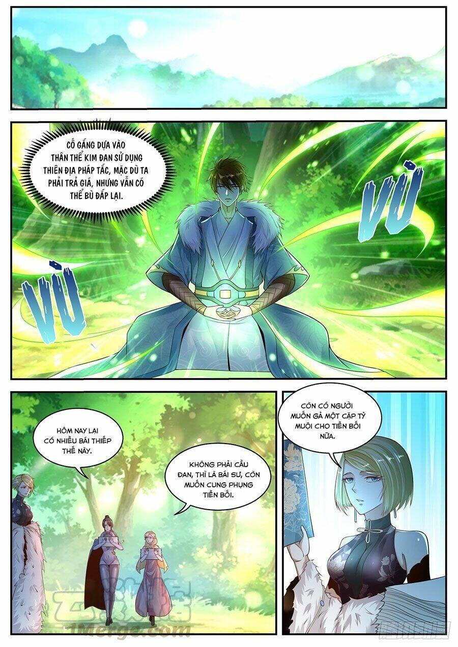 trọng sinh đô thị tu tiên Chapter 491 - Trang 2