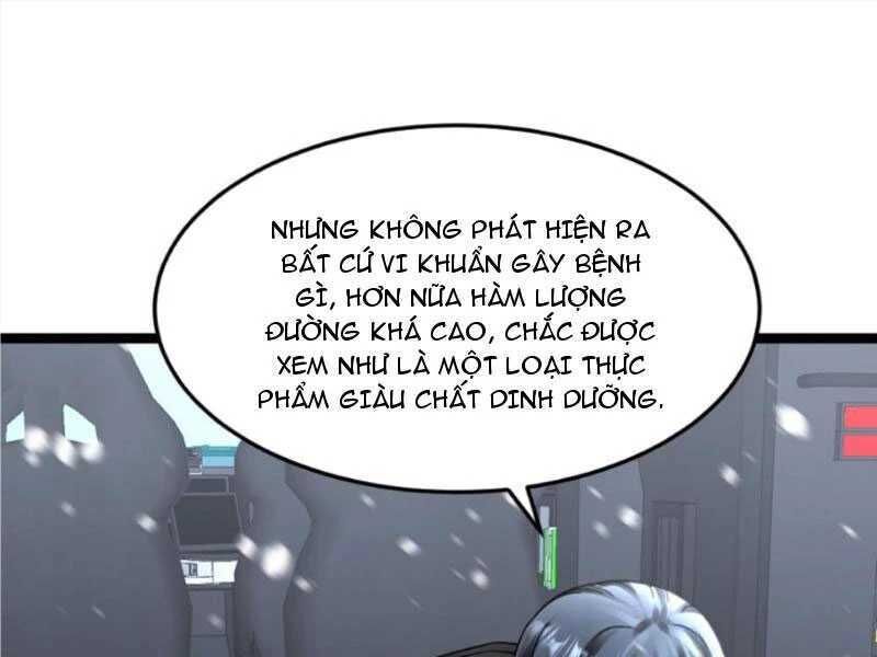 Toàn Cầu Băng Phong: Ta Chế Tạo Phòng An Toàn Tại Tận Thế Chapter 404 - Next Chapter 405