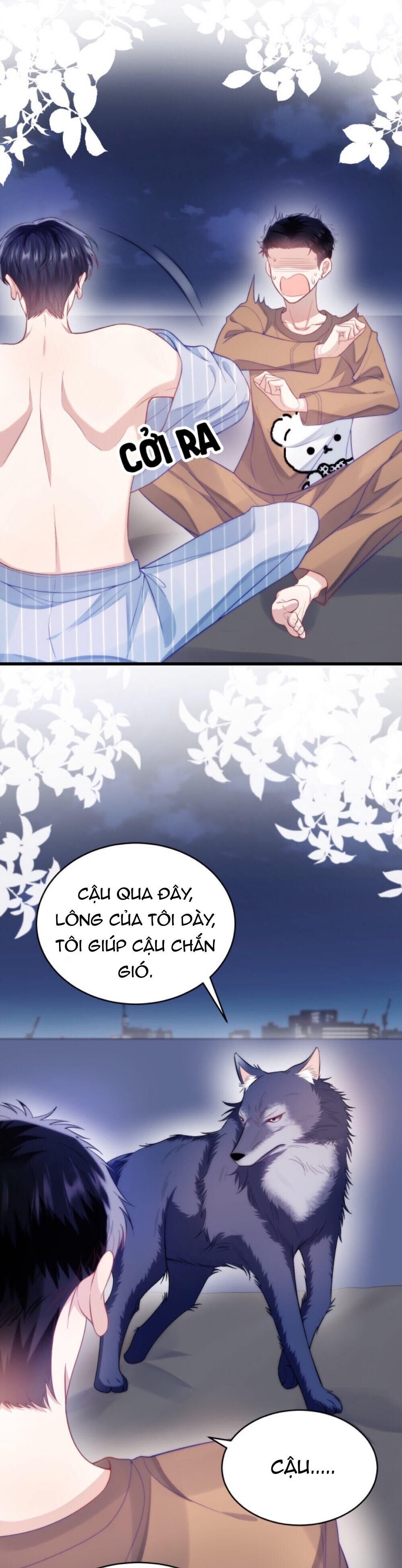 Tiểu Dã Miêu Của Học Bá Thật Trêu Người Chapter 19 - Next Chapter 20