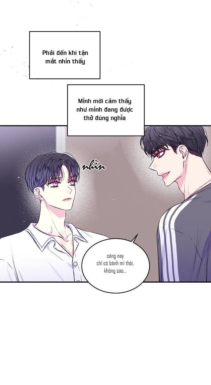 bình minh thứ hai Chapter 47 - Trang 2