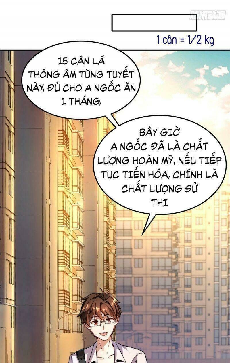 thần sủng tiến hóa Chapter 12 - Next Chapter 13